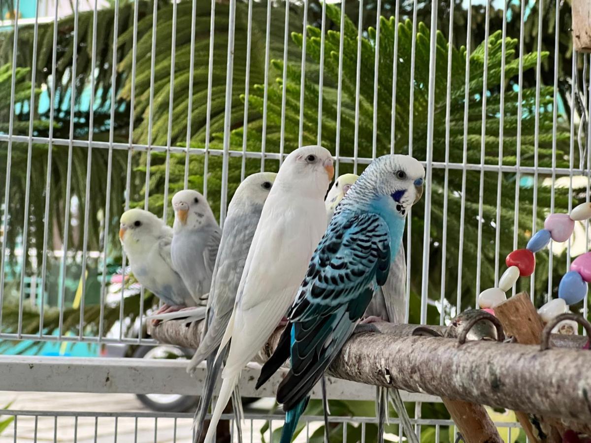 B-5 Aprt. Tipo Villa Sonidos De Las Aves. Харабакоа Экстерьер фото
